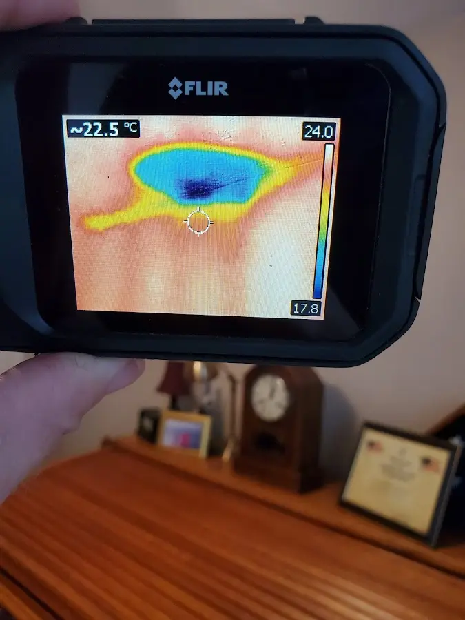 Thermal imaging inspection for water damage in Auburn